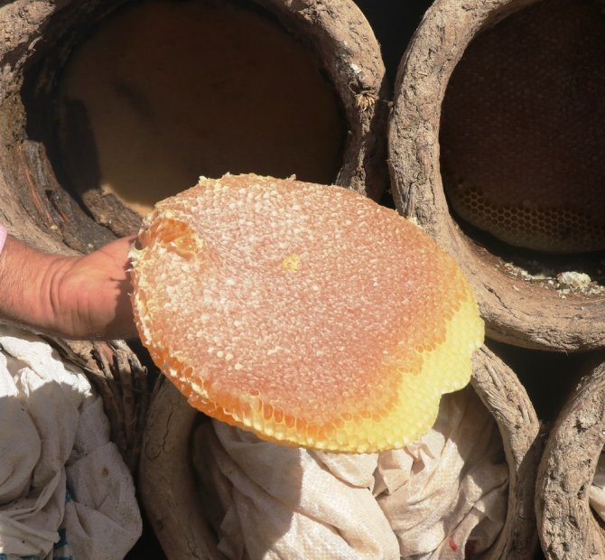 Dünyaca ünlü Bitlis’in ’karakovan’ balının hasadına başlandı