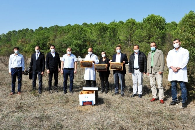 Balıkesir Üniversitesinde ilk bal hasadı gerçekleştirildi