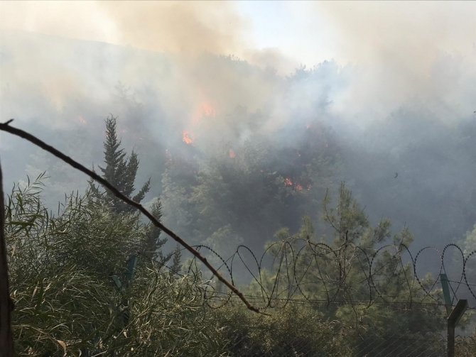 İskenderun’da orman yangını çıktı