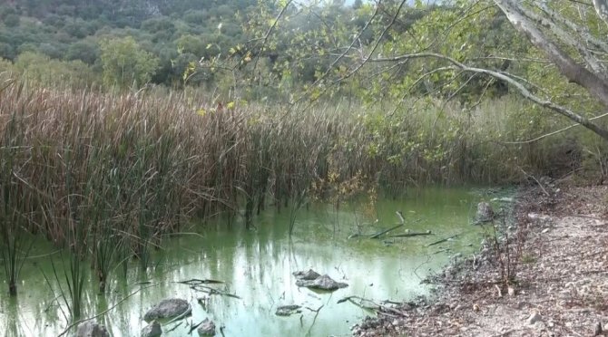 Kovada Gölü kirlilikle boğuşuyor