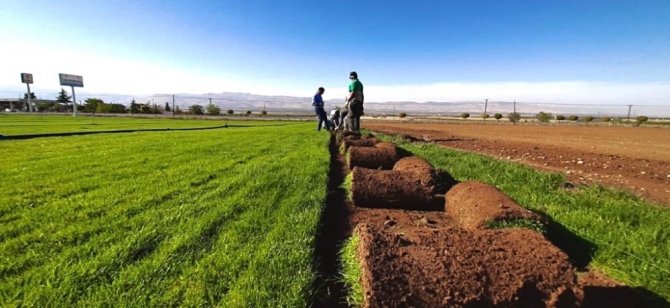 Yeşilyurt Belediyesi tarımsal üretim ve ar-ge sahasında 15 bin metrekare rulo çim üretildi