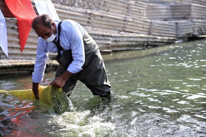 Cumhuriyet’in 97. yılı anısına Keban Barajı’na 970 bin adet balık yavrusu bırakıldı