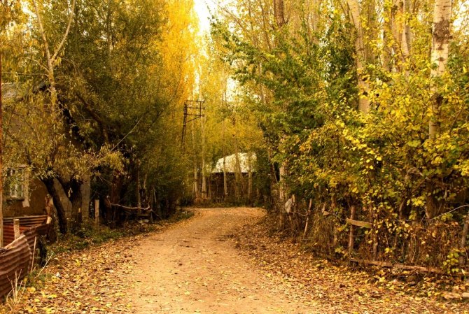 Yüksekova’da sonbahar güzelliği