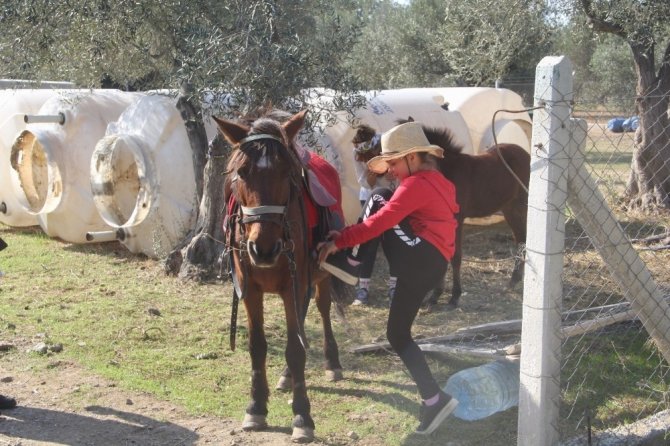 11 yaşında at binip, engeller üzerinden atlıyor