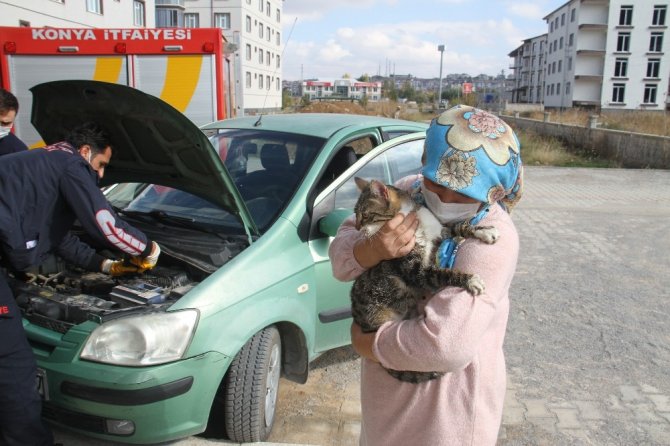 Otomobilden kedi kurtarma operasyonu