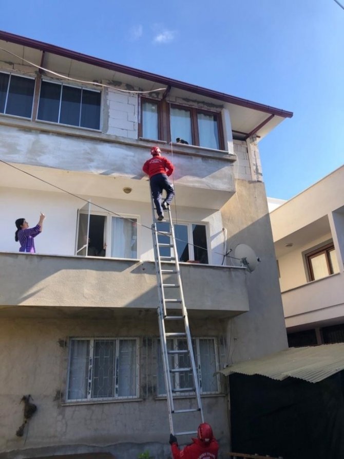 Burhaniye De Kedi Kurtarma Operasyonu