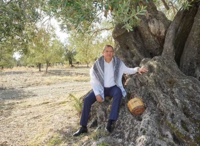 Mesut Ergin “Dünya Zeytin Ağacı” gününü unutmadı
