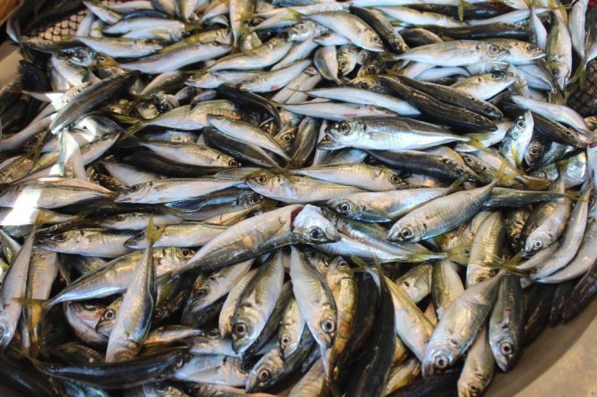 Korona virüs sürecinde sağlıklı beslenme balık tüketimi önerisi