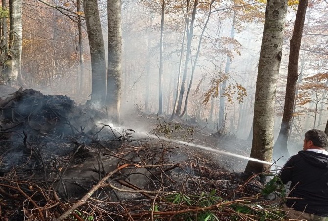 Düzce’de orman yangını 3 saatte söndürüldü