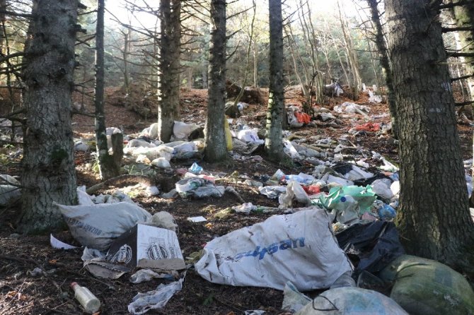 Bolu’da ormanlara atılan çöpler doğal hayatı tehdit ediyor