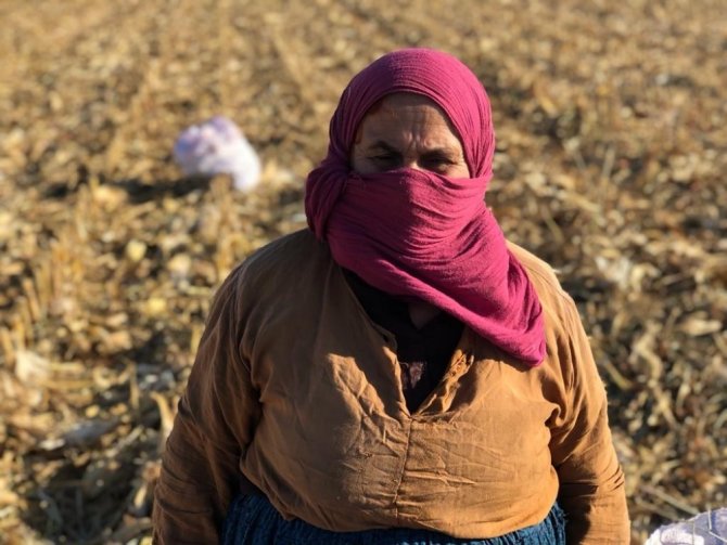 Kızıltepe’de kadınlar boş mısır koçanını yakacak olarak kullanıyor