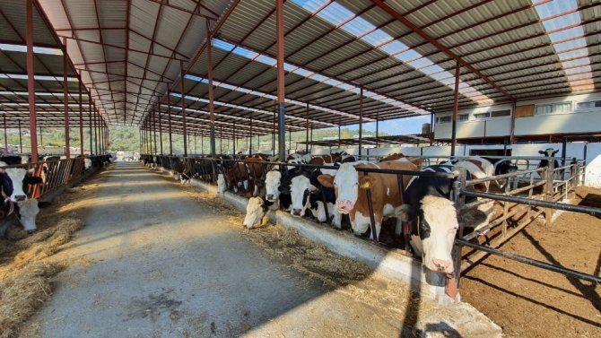 Mersin’de süt üreticilerine soğutma tankı desteği