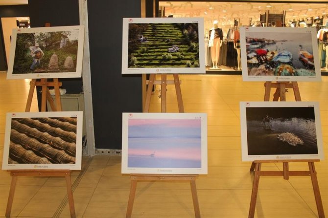 Tarım, Orman ve İnsan konulu fotoğraf sergisi açıldı