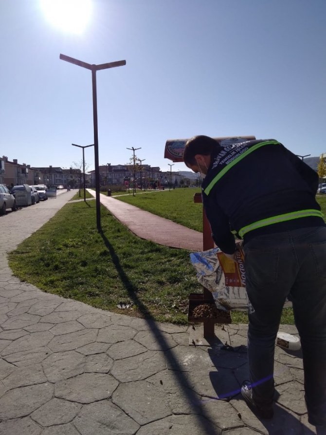 Serdivan Belediyesi sokak hayvanlarını unutmadı
