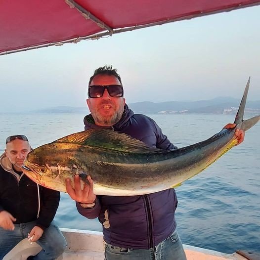 Kuşadası Körfezi’nde 15 kiloluk lambuka balığı yakalandı
