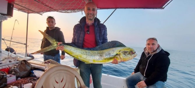 Kuşadası Körfezi’nde 15 kiloluk lambuka balığı yakalandı