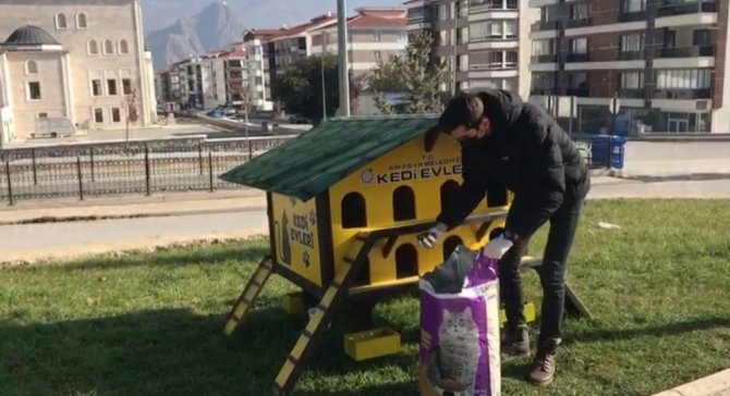 Amasya Belediyesi ekipleri sokak hayvanlarını unutmadı