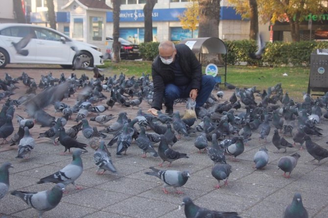 Emniyet Müdürü, sokak hayvanlarını elleriyle besledi