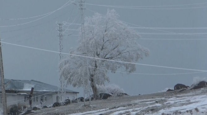 Kars’ta ağaçlar kırağı tuttu