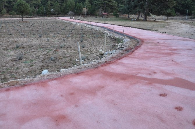 Gölcük Mesire Alanı’na 3 bin metrelik yürüyüş yolu