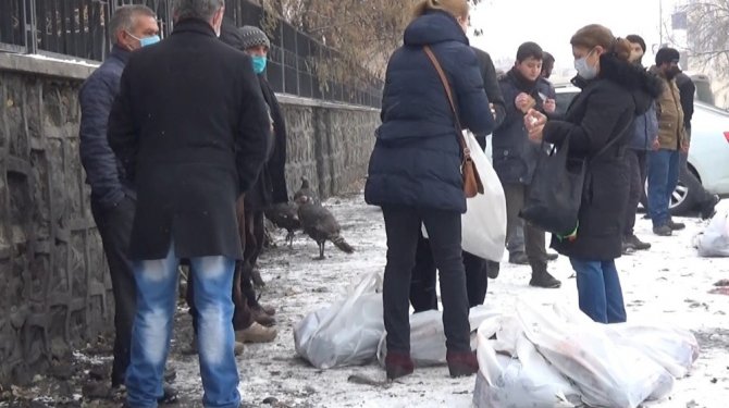 Kars’ta yılbaşı hindilerine battaniyeli önlem