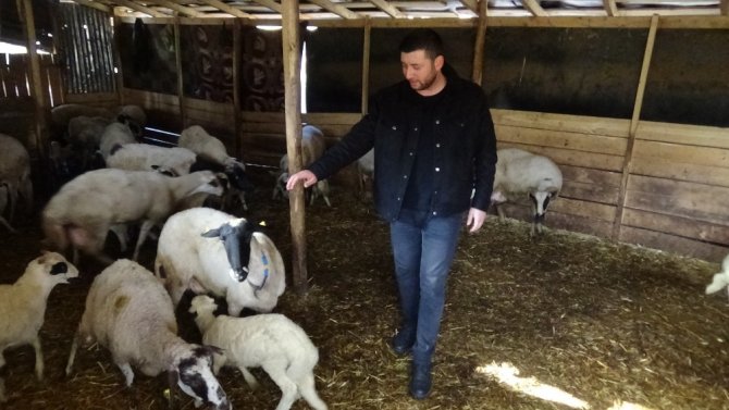 Genç çoban can sıkıntısı diye başladı, 3 milyon izlenmeye ulaştı