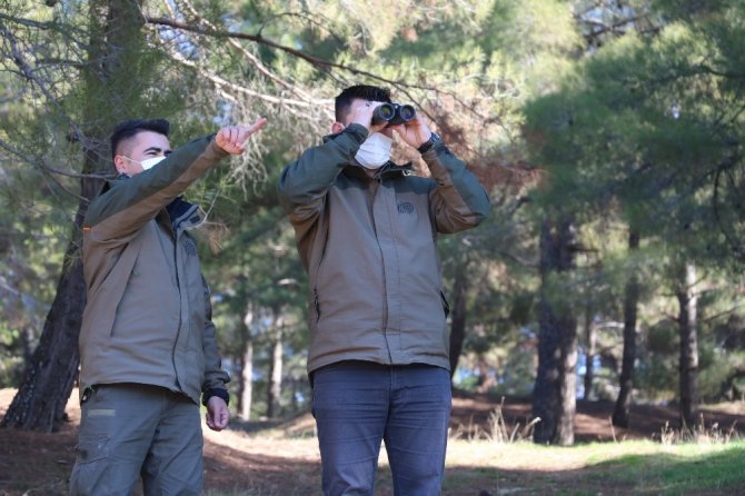 Terörden koruduğu dağlarda şimdi yaban hayatını koruyor