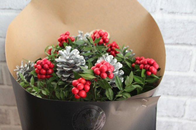 Yılbaşı çiçeği olarak ta bilinen ’Kokina’ bitkisine büyük ilgi