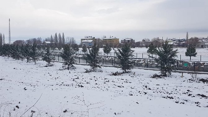 Kar yağışı ağaç dikmeye engel olmadı