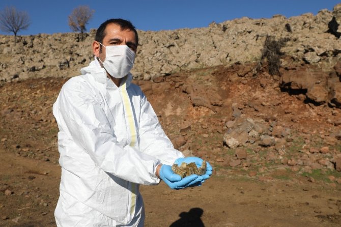 Diyarbakır’da ilk defa hayvanlara kuduz aşısı kırsala bırakıldı