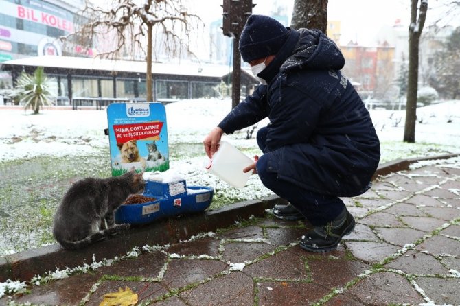 Bağcılar Belediyesi sokak hayvanları için seferber oldu
