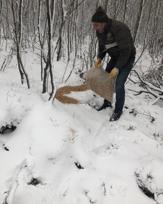 Karlı günlerde yaban hayvanları için doğaya 200 kilogram yem bırakıldı