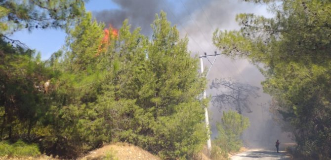 Bodrum’daki yangına havadan ve karadan müdahale ediliyor