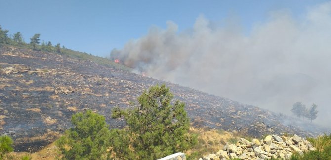 Bodrum’daki yangına havadan ve karadan müdahale ediliyor