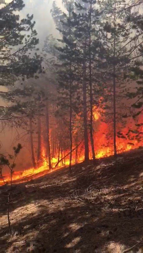 Sarıkamış Ormnları’nda korkutan yangın, ekiplerin müdahalesi sürüyor