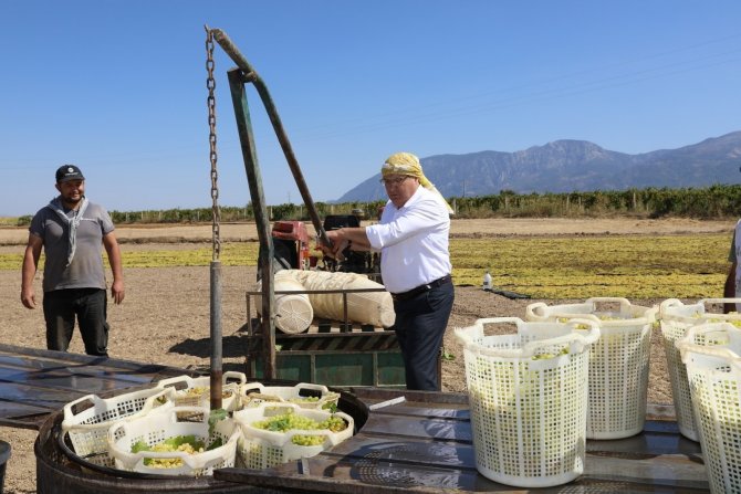 Başkan Çerçi üzüm üreticilerini ziyaret etti