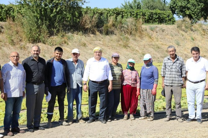 Başkan Çerçi üzüm üreticilerini ziyaret etti