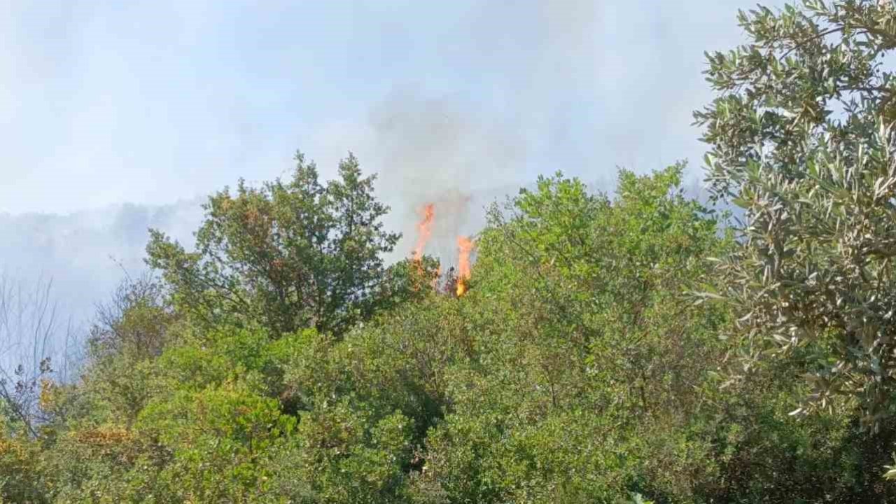 Orhangazi’deki yangına havadan ve karadan müdahale ediliyor