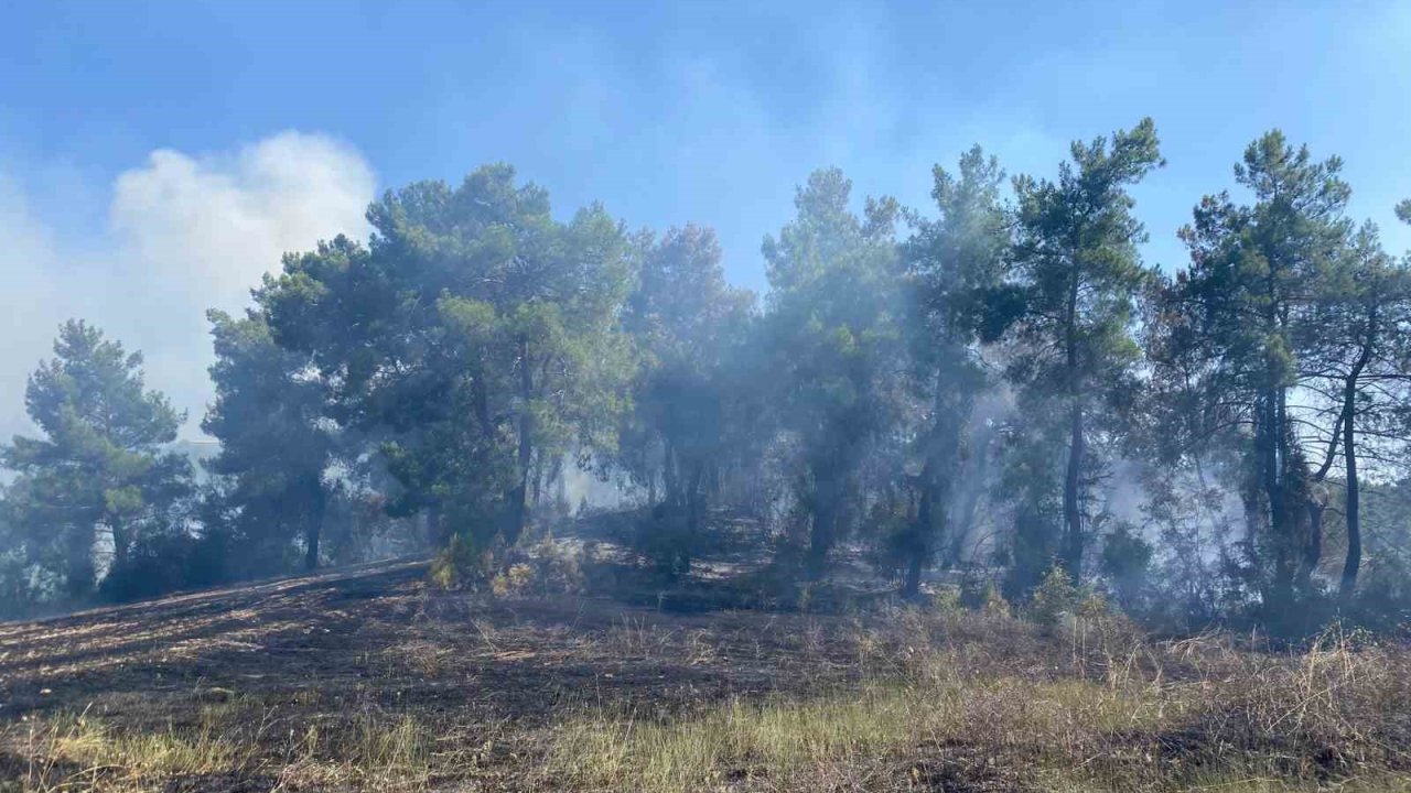Antalya’da ormanlık alanda çıkan yangın 2 saatte kontrol altına alındı