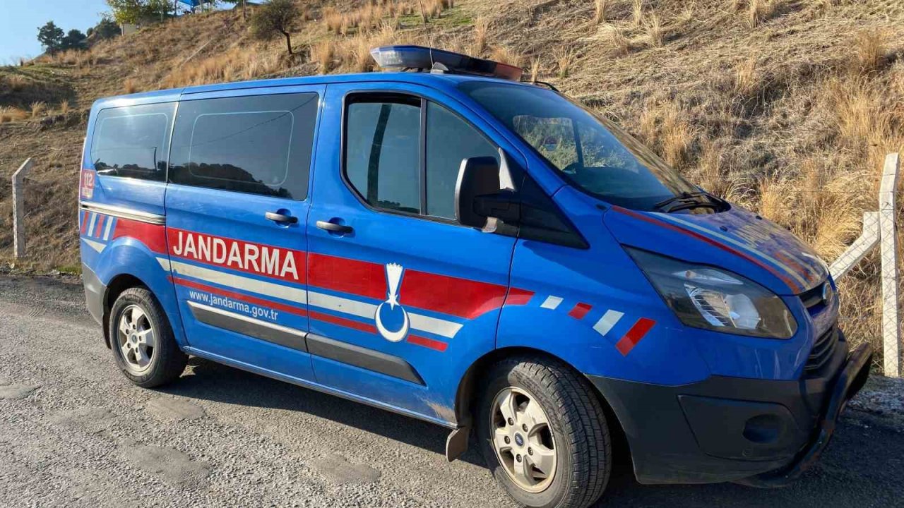 Genç kız hayvan damında ölü bulundu