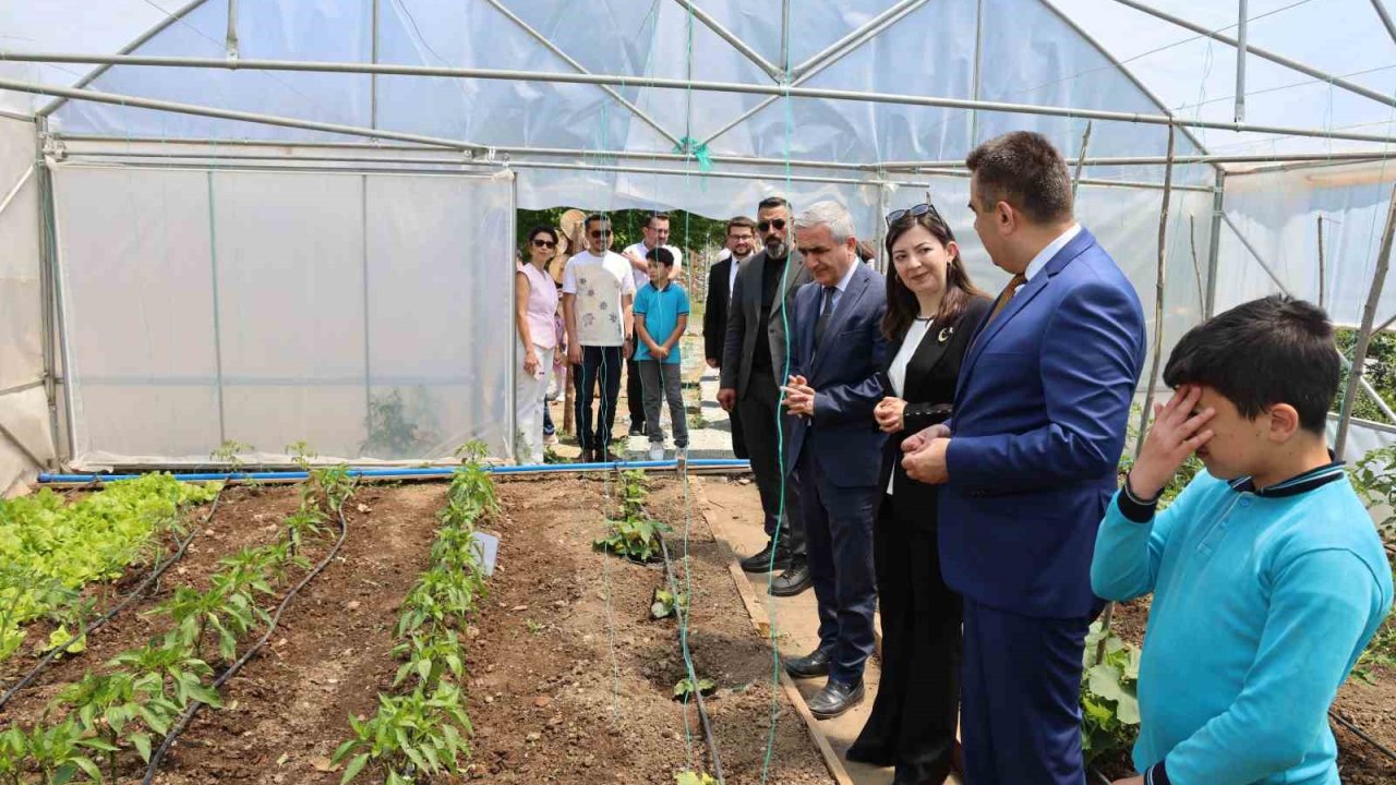 Öğrenciler bu bahçede sebze ve meyve yitiştirecek