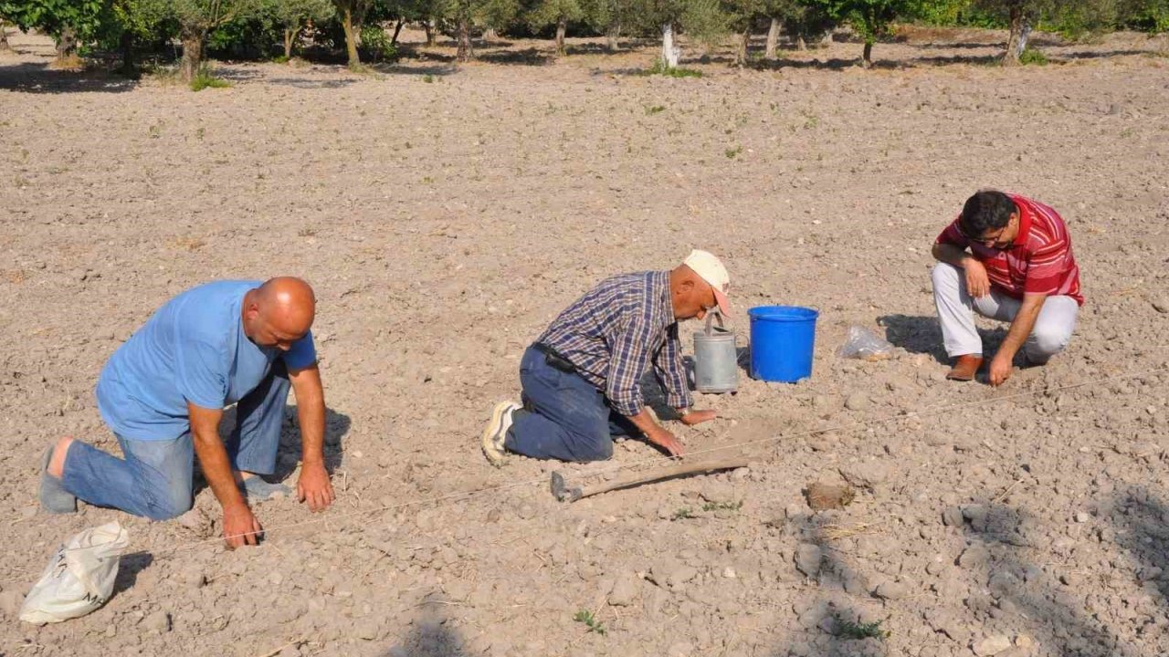 Kırkağaç Kavunu’nda tohumlar toprakla buluştu