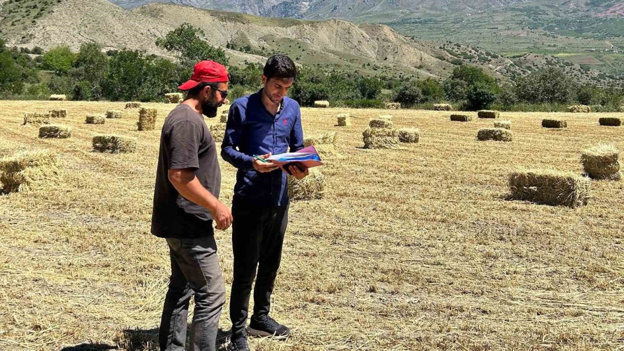 Erzincan genelinde yem bitkisi kontrolleri başladı