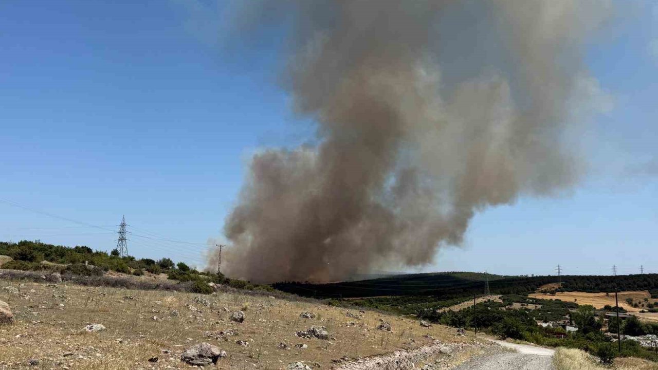 Ezine’de tarım arazisinde başlayan yangın ormanlık alana sıçradı