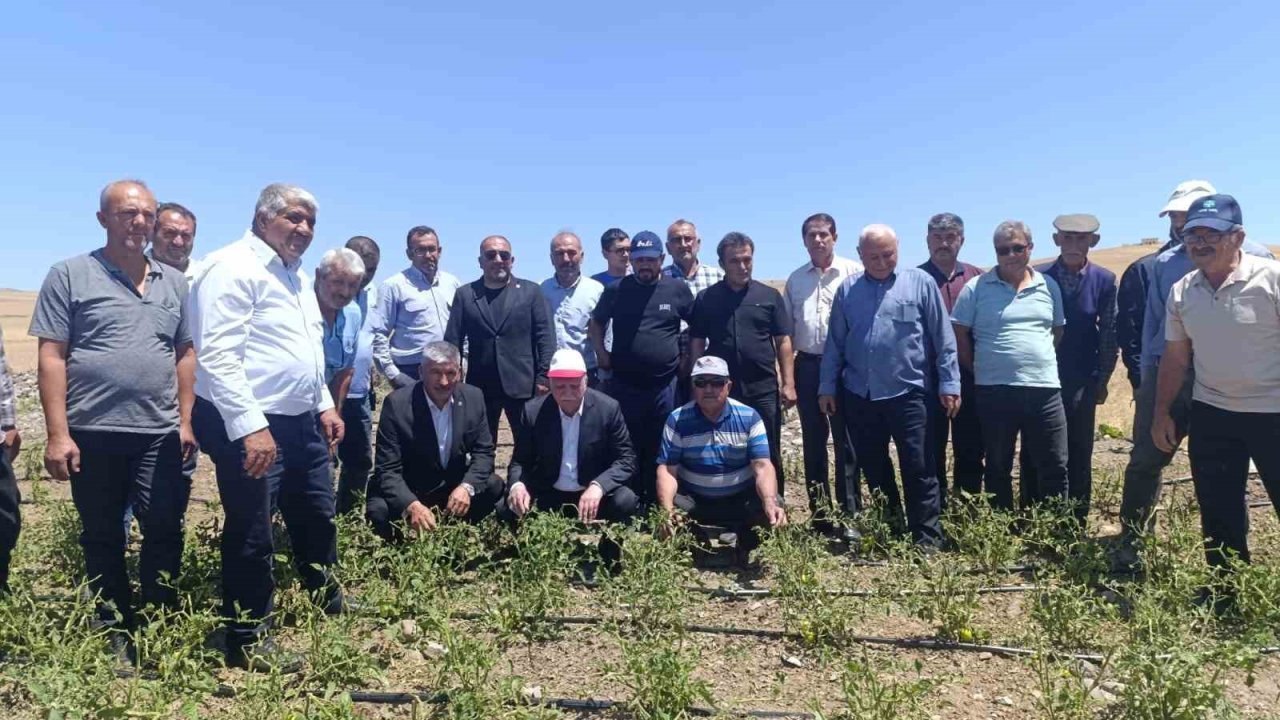 TZOB Başkanı, dolu sonrası zarar gören tarlaları inceledi
