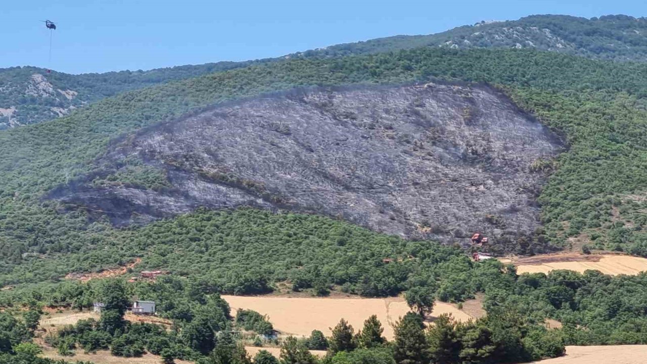Yenişehir ilçesindeki yangın söndürüldü