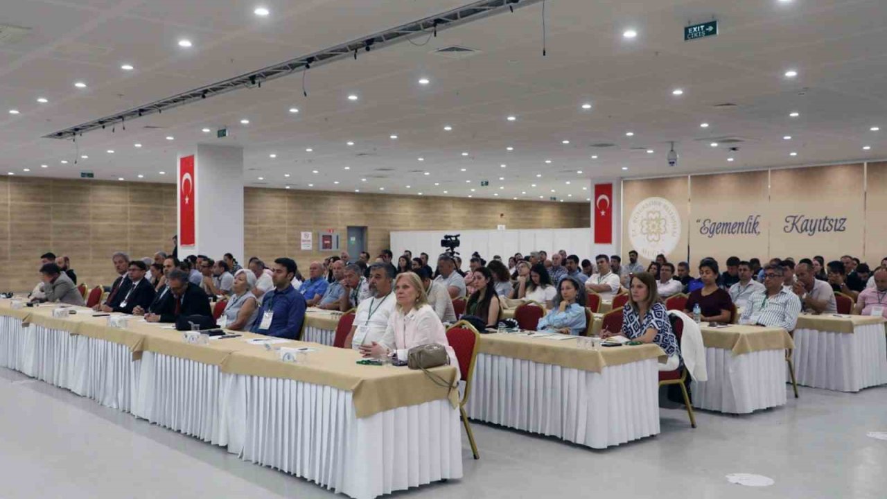 Muğla’da şehir merkezlerine kadar inen yaban domuzlarına çare aranıyor