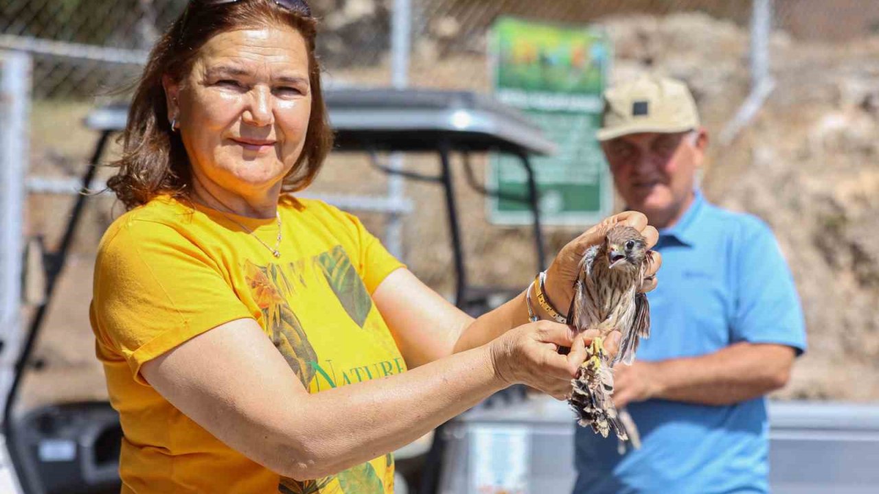 Yetişkinliğe erişen kerkenez yavruları doğal ortamlarına bırakıldı