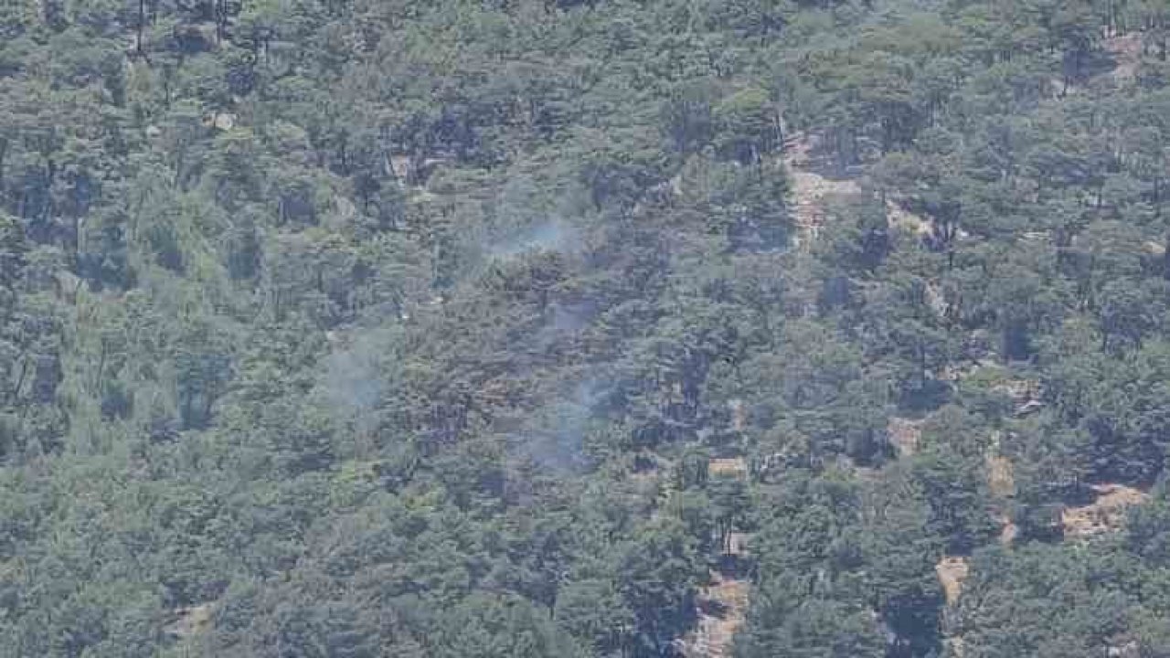 Antalya’daki orman yangını kontrol altına alındı