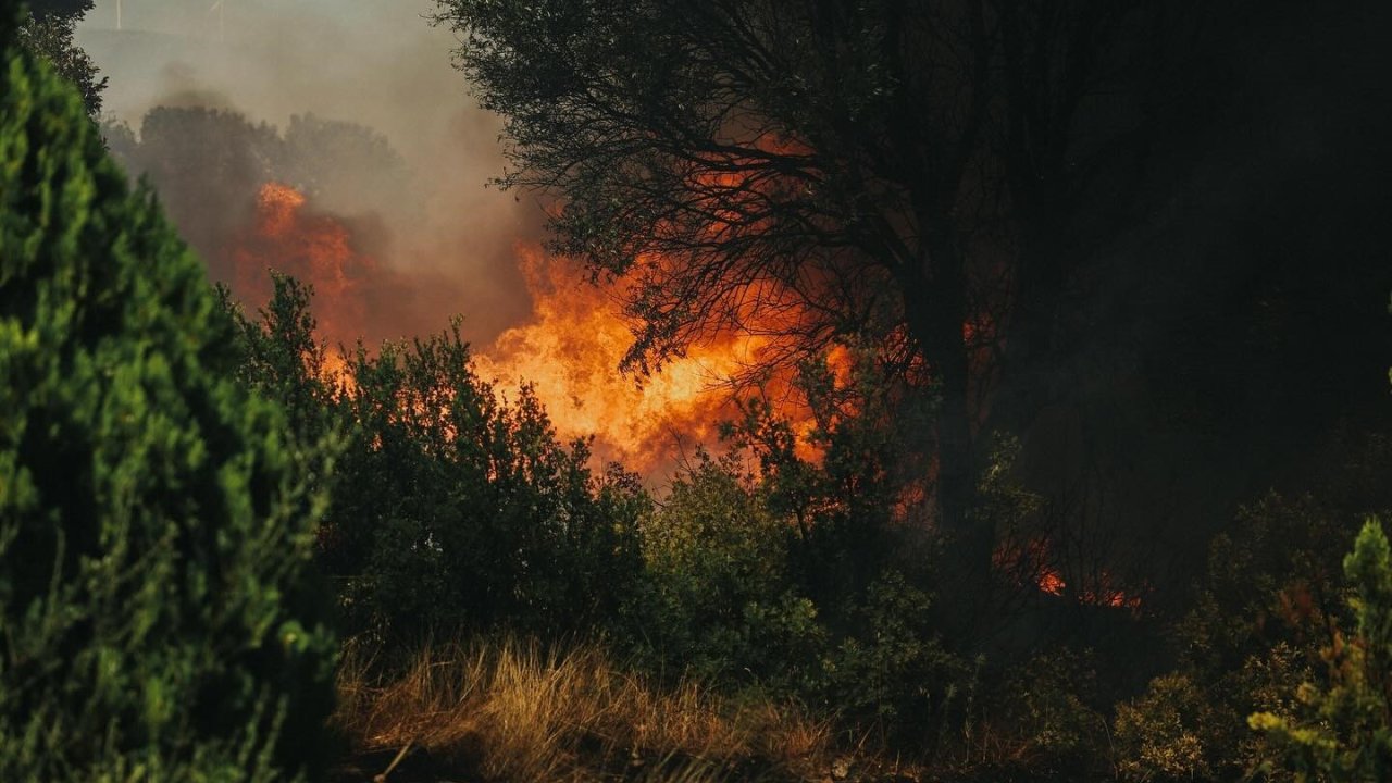 Aydın’da çiftçilere yangın uyarısı: Hasatta tedbirli olun